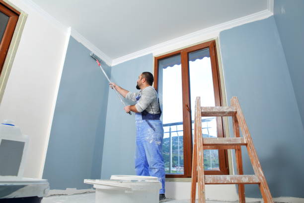 Best Interior Painting  in Montrose, MN