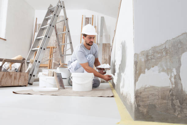 Best Drywall Texturing  in Montrose, MN