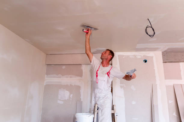 Best Water-Damaged Drywall Repair  in Montrose, MN