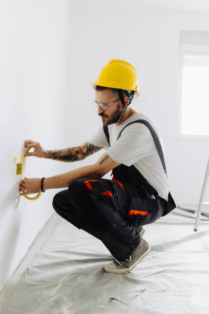 Best Drywall Sanding and Smoothing  in Montrose, MN