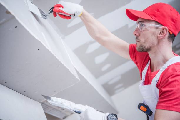 Best Drywall Removal and Disposal  in Montrose, MN